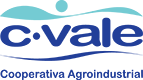 C.VALE - COOPERATIVA AGROINDUSTRIAL